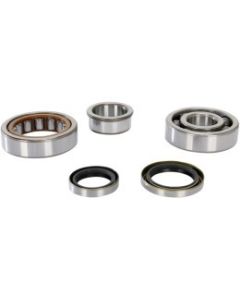 PROX CRANKSHAFT BEARING AND SEAL KIT