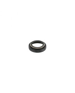 DUST SEAL RR 16x24x8